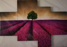 Tengerparti kép lila levendula mező táj