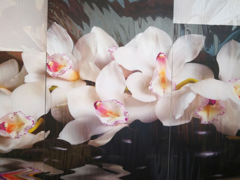 Orchidea Faliképek