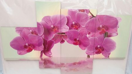Lila orchidea négy részes kép